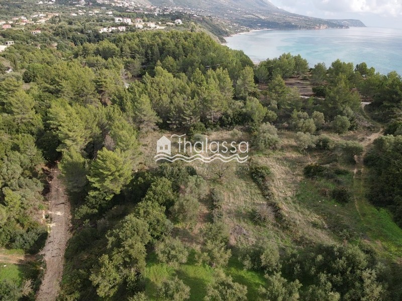 Αγροτεμάχια 4.007 τ.μ. πρός πώληση, Ν. Κεφαλονιάς, Κεφαλονιά