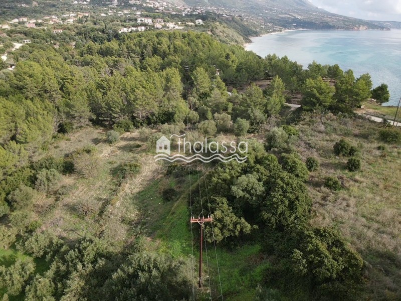 Αγροτεμάχια 4.007 τ.μ. πρός πώληση, Ν. Κεφαλονιάς, Κεφαλονιά