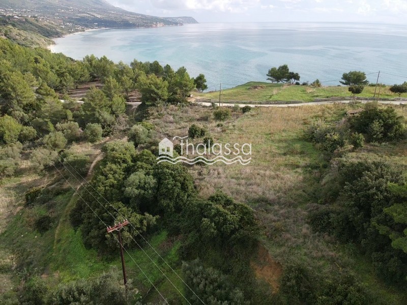 Αγροτεμάχια 4.007 τ.μ. πρός πώληση, Ν. Κεφαλονιάς, Κεφαλονιά