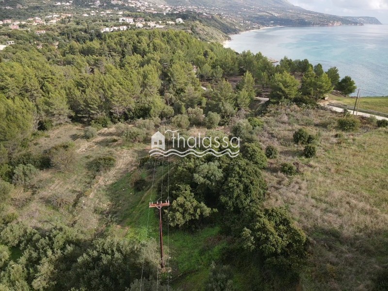 Αγροτεμάχια 4.007 τ.μ. πρός πώληση, Ν. Κεφαλονιάς, Κεφαλονιά