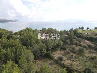 Αγροτεμάχια 4.007 τ.μ. για πώληση