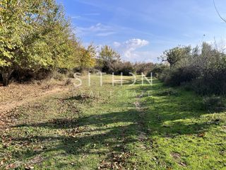 Αγροτεμάχια 1.137 τ.μ. για πώληση