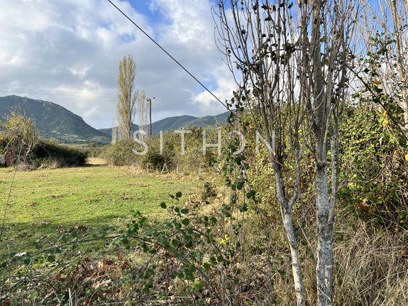 Parcel 537 sqm for sale, Chalkidiki, Toroni