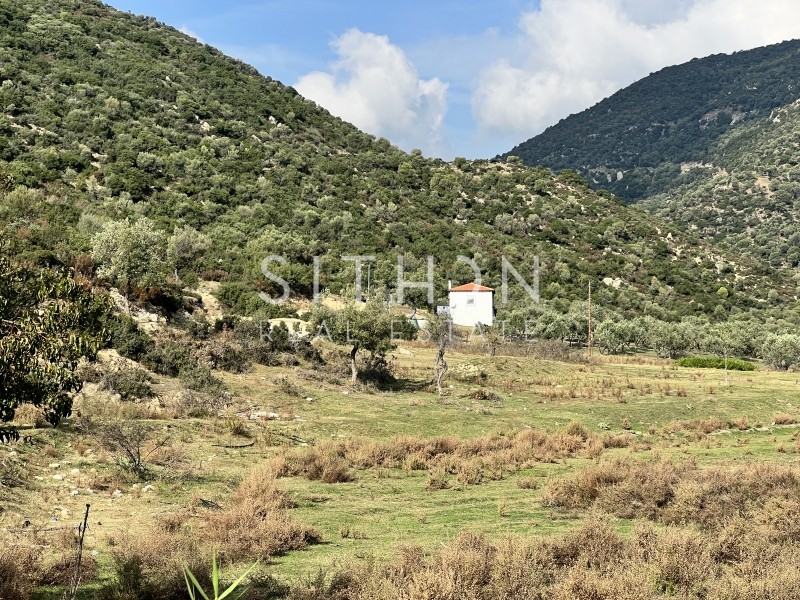 Αγροτεμάχια 3.302 τ.μ. προς πώληση, Συκιά Τορώνης