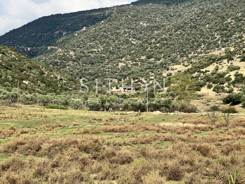 Αγροτεμάχια 3.302 τ.μ. προς πώληση, Συκιά Τορώνης
