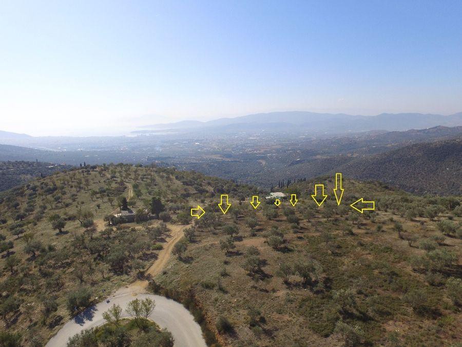 Αγροτεμάχια 4.020 τ.μ. πρός πώληση, Μαγνησία, Νέα Ιωνία Βόλου