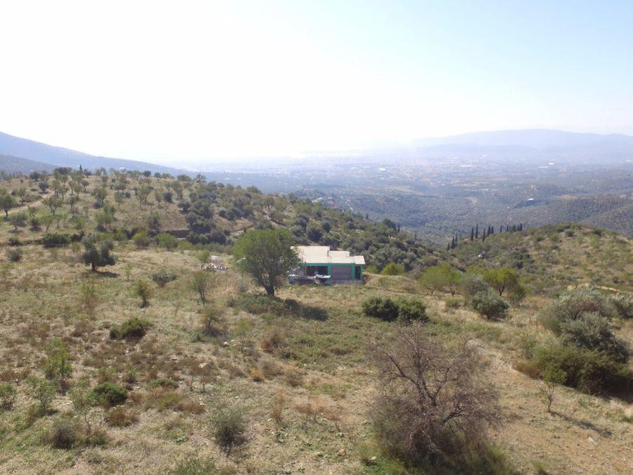 Αγροτεμάχια 4.020 τ.μ. πρός πώληση, Μαγνησία, Νέα Ιωνία Βόλου