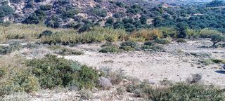 Αγροτεμάχια 20.000 τ.μ. για πώληση, Ν. Λασιθίου, Ιεράπετρα-thumb-4
