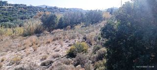 Αγροτεμάχια 20.000 τ.μ. για πώληση, Ν. Λασιθίου, Ιεράπετρα-thumb-6