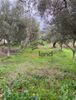 Parcel 650sqm for sale-Messatida » Ovria