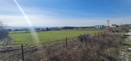 Parcel 9.000sqm for sale-Thermi » Nea Raidestos