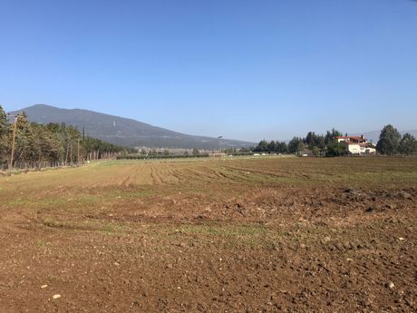 Parcel 12.000sqm for sale-Thermi » Nea Raidestos