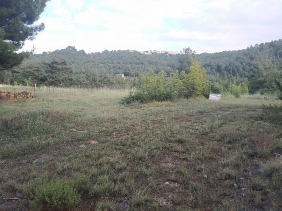 Αγροτεμάχια 4.500 τ.μ. για πώληση, Θεσσαλονίκη - Περιφ/Κοί Δήμοι, Πανόραμα