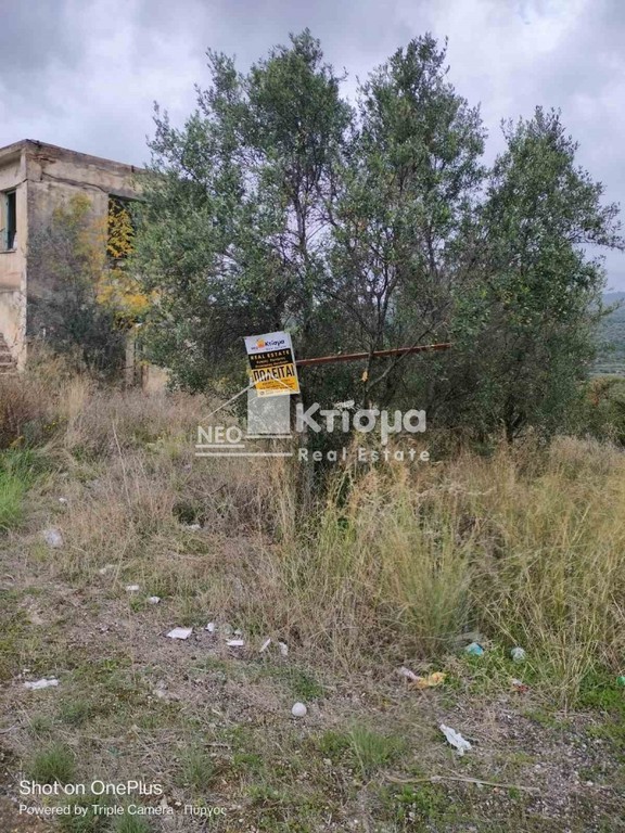 Αγροτεμάχια 12.394 τ.μ. πρός πώληση, Ν. Ηλείας, Πύργος