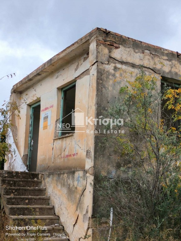 Αγροτεμάχια 12.394 τ.μ. πρός πώληση, Ν. Ηλείας, Πύργος