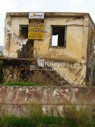 Αγροτεμάχια 12.394 τ.μ. για πώληση, Ν. Ηλείας, Πύργος