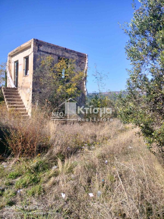 Αγροτεμάχια 12.394 τ.μ. πρός πώληση, Ν. Ηλείας, Πύργος