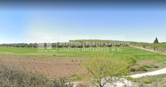 Parcel 8.200 sqm for sale, Magnesia, Nea Agchialos