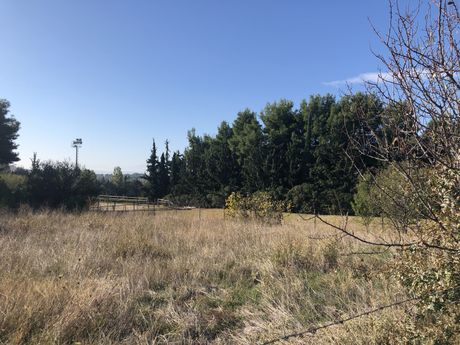 Αγροτεμάχια 4.460τ.μ. για πώληση-Πυλαία » Πουρνάρι