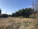 Αγροτεμάχια 4.460τ.μ. για πώληση-Πυλαία » Πουρνάρι