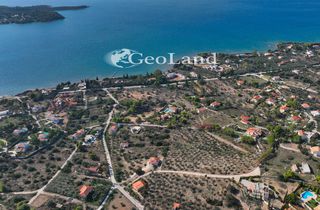 Βίλλα 605 τ.μ. για πώληση, Αργολίδα, Κρανίδι-thumb-13
