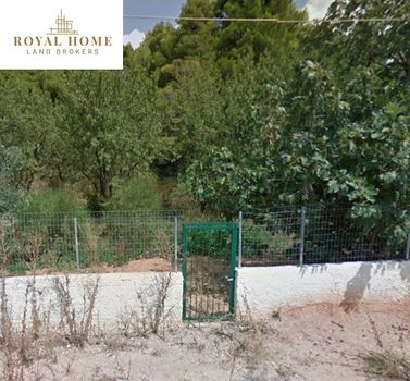 Land plot 900sqm for sale-Drosia