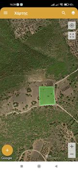 Land plot 4.000 sqm for sale