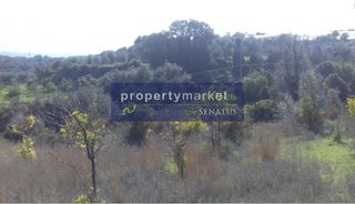 Οικόπεδο 1.500 τ.μ. για πώληση, Ν. Ρεθύμνου, Αρκάδι-thumb-2