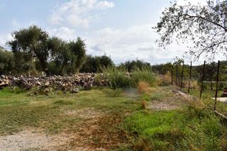 Άλλο 882 τ.μ. για πώληση, Ν. Κέρκυρας, Κέρκυρα-thumb-9