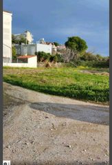 Οικόπεδο 1.217 τ.μ. για πώληση, Εύβοια, Ληλάντιο-thumb-6
