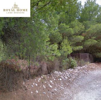 Land plot 800sqm for sale-Drosia