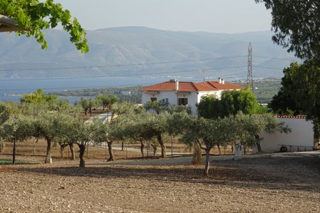 Parcel 41.000 sqm for sale