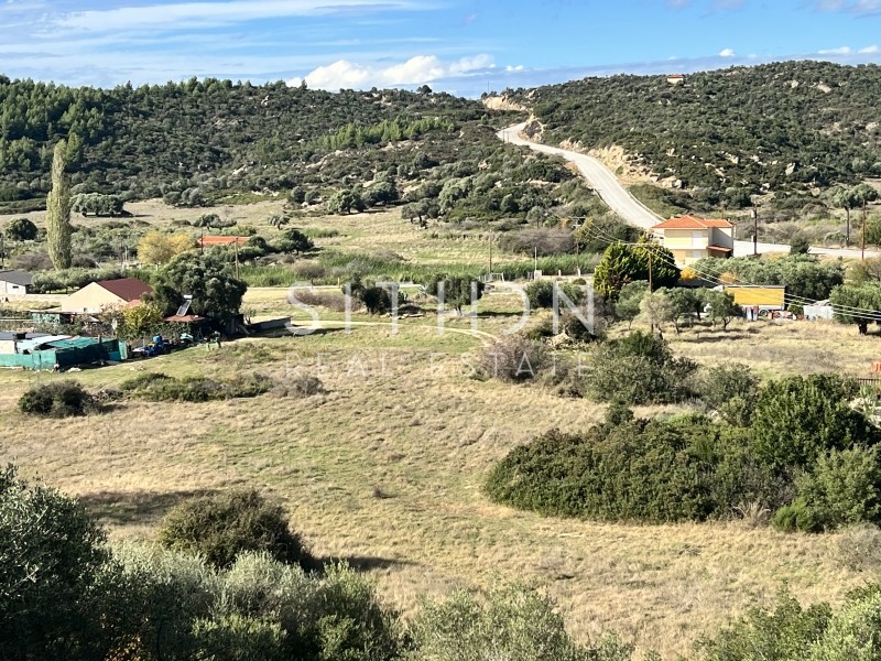Αγροτεμάχια 2.892 τ.μ. προς πώληση, Συκιά Τορώνης