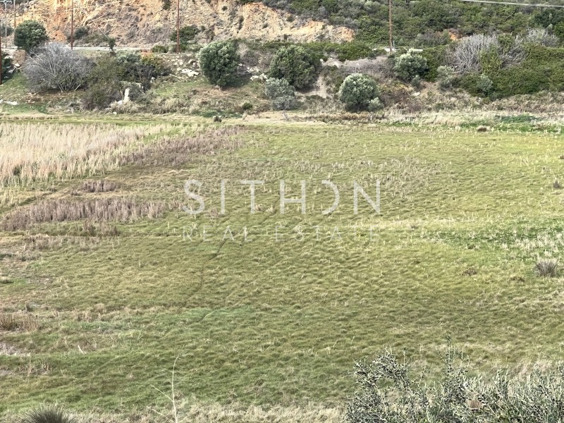 Αγροτεμάχια 2.021 τ.μ. προς πώληση, Κέντρο Τορώνης