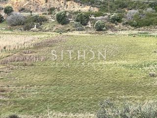 Αγροτεμάχια 2.021 τ.μ. για πώληση