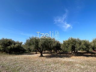Οικόπεδο 3.330 τ.μ. για πώληση, Αχαΐα, Μεσσατίδα-thumb-2