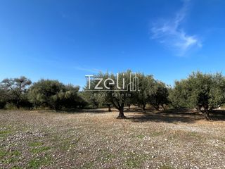 Οικόπεδο 3.330 τ.μ. για πώληση, Αχαΐα, Μεσσατίδα-thumb-20