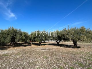 Οικόπεδο 3.330 τ.μ. για πώληση, Αχαΐα, Μεσσατίδα-thumb-25