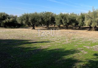 Οικόπεδο 3.330 τ.μ. για πώληση, Αχαΐα, Μεσσατίδα-thumb-17