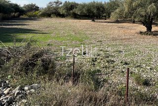 Οικόπεδο 3.330 τ.μ. για πώληση, Αχαΐα, Μεσσατίδα-thumb-12
