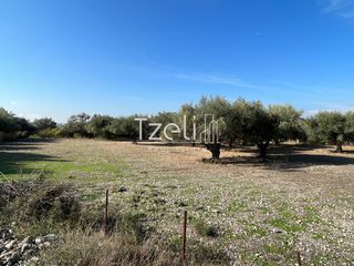 Οικόπεδο 3.330 τ.μ. για πώληση, Αχαΐα, Μεσσατίδα-thumb-26