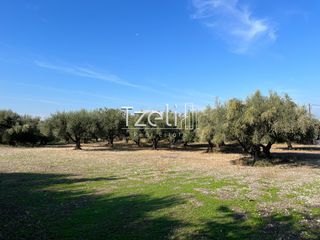 Οικόπεδο 3.330 τ.μ. για πώληση