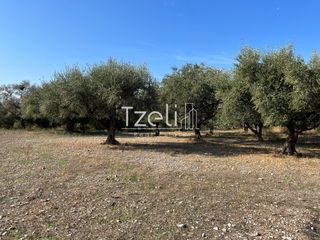 Οικόπεδο 3.330 τ.μ. για πώληση, Αχαΐα, Μεσσατίδα-thumb-23