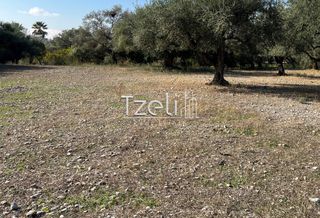 Οικόπεδο 3.330 τ.μ. για πώληση, Αχαΐα, Μεσσατίδα-thumb-24