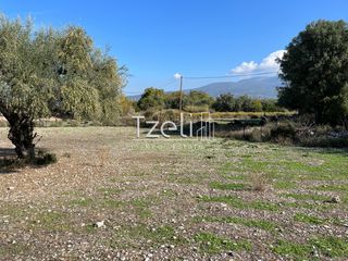 Οικόπεδο 3.330 τ.μ. για πώληση, Αχαΐα, Μεσσατίδα-thumb-8