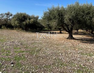 Οικόπεδο 3.330 τ.μ. για πώληση, Αχαΐα, Μεσσατίδα-thumb-27