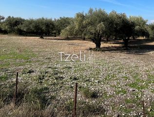Οικόπεδο 3.330 τ.μ. για πώληση, Αχαΐα, Μεσσατίδα-thumb-11