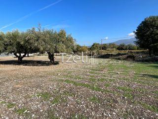 Οικόπεδο 3.330 τ.μ. για πώληση, Αχαΐα, Μεσσατίδα-thumb-21
