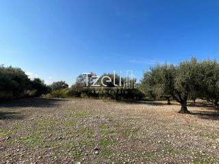 Οικόπεδο 3.330 τ.μ. για πώληση, Αχαΐα, Μεσσατίδα-thumb-22
