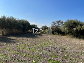 Οικόπεδο 3.330 τ.μ. για πώληση, Αχαΐα, Μεσσατίδα-thumb-13